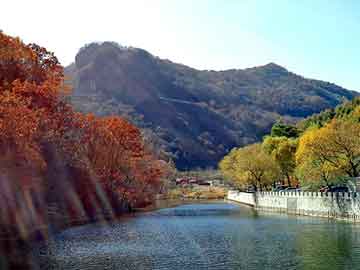 管家婆黑白马报图库，都市异能全本小说